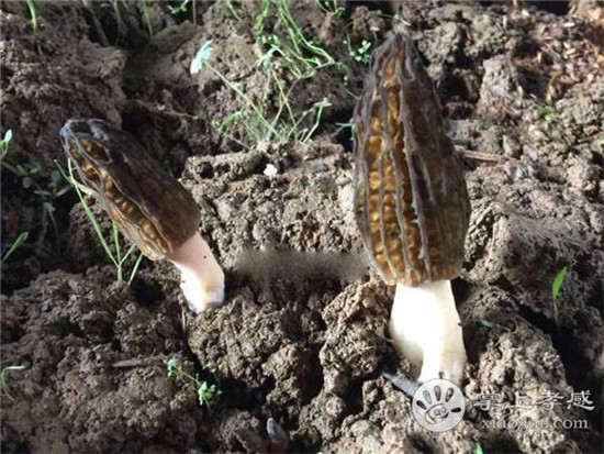 20190702191841_79967