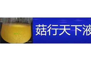 菇行天下液体菌种培训第47期（8.1）开始报名 ()