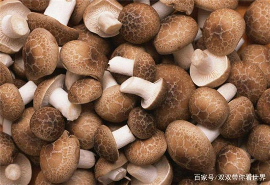 微信图片_20190705101824