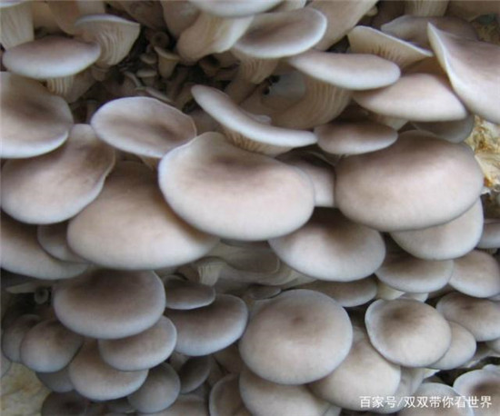 微信图片_20190705101832