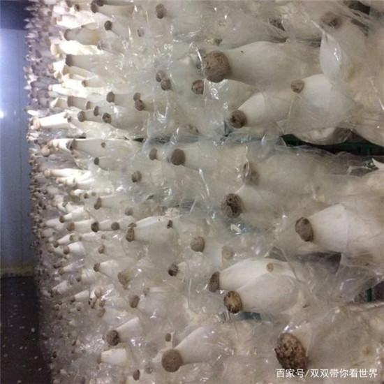 微信图片_20190705101828