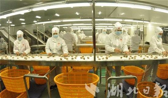 3f8aae66-29bb-4890-9944-ed0ceb770f29