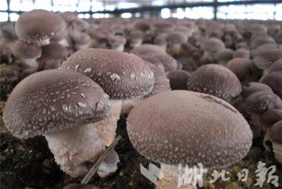 334b5d1b-ab47-4e72-b08d-6497832cccf8