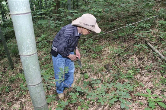 微信图片_20190708084922