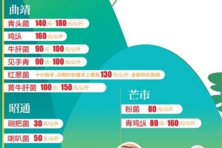 有价无市商贩改做蔬菜生意 云南省内野生菌市场遇冷 ()