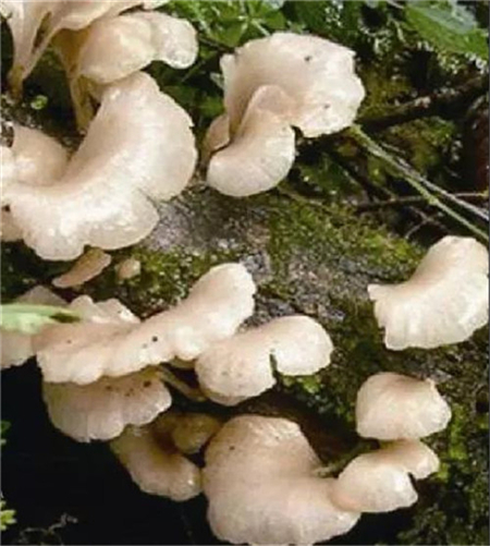 微信图片_20190717172004