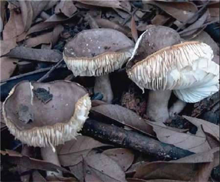 微信图片_20190717172054