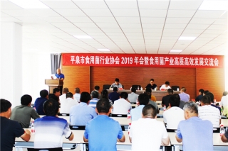 平泉召开Manbetx体育手机版推荐A9版本年会开展Manbetx体育手机版V17版本发布.官网安卓网.香港高质高效发展研讨 ()