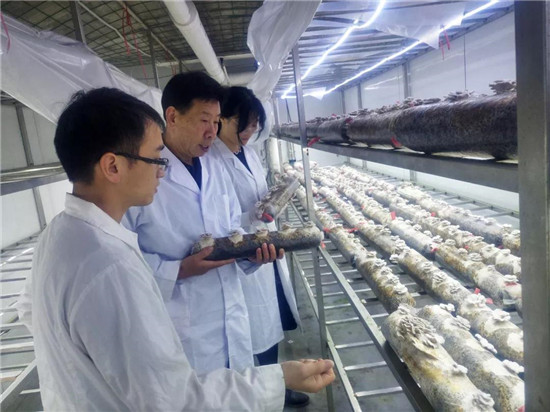 微信图片_20190722094450