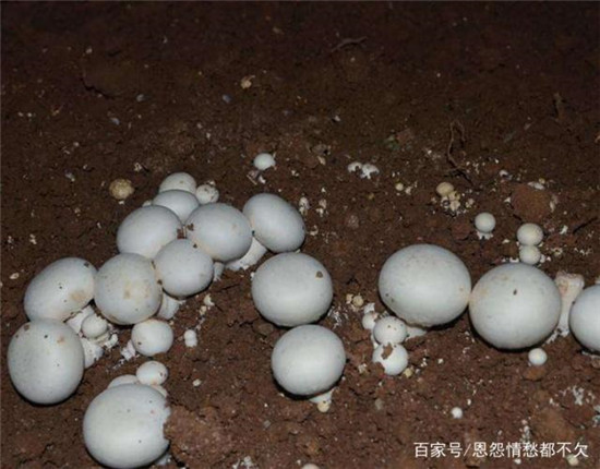 u=2570639291,4042859860&fm=173&app=49&f=JPEG