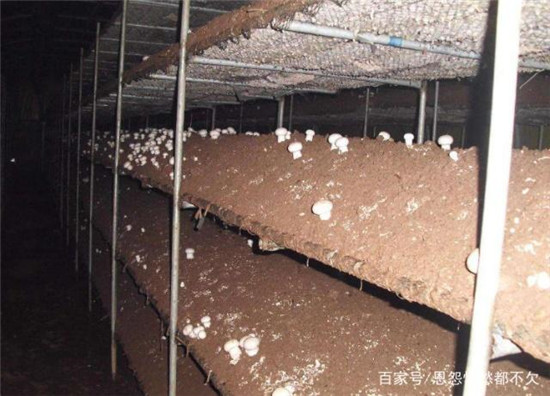 u=4262299382,525446251&fm=173&app=49&f=JPEG