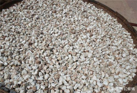 u=3750994106,1213435082&fm=173&app=25&f=JPEG