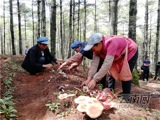 00300790742_88ff6574