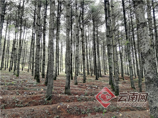 00300790743_90ef5df7