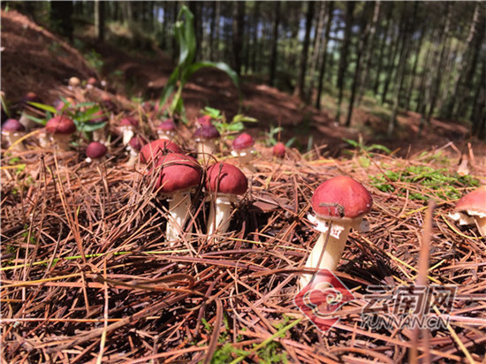 00300790744_e9c1e358