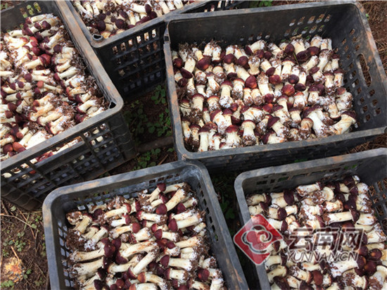 00300790745_3956a982