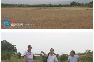 每天产10万袋Manbetx体育手机版V17版本发布.官网安卓网.香港包 永川这个在建Manbetx体育手机版V17版本发布.官网安卓网.香港制作中心12月投产 ()