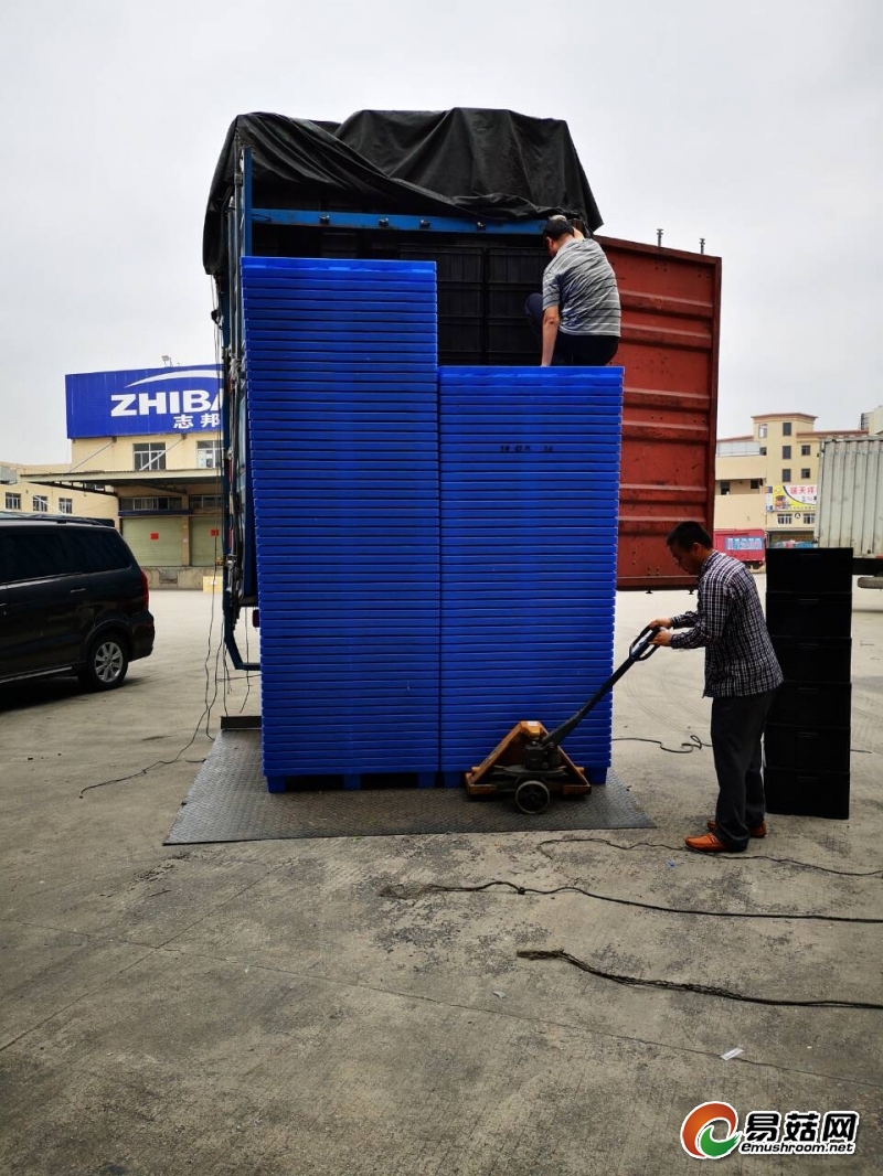 QQ图片20190510112710