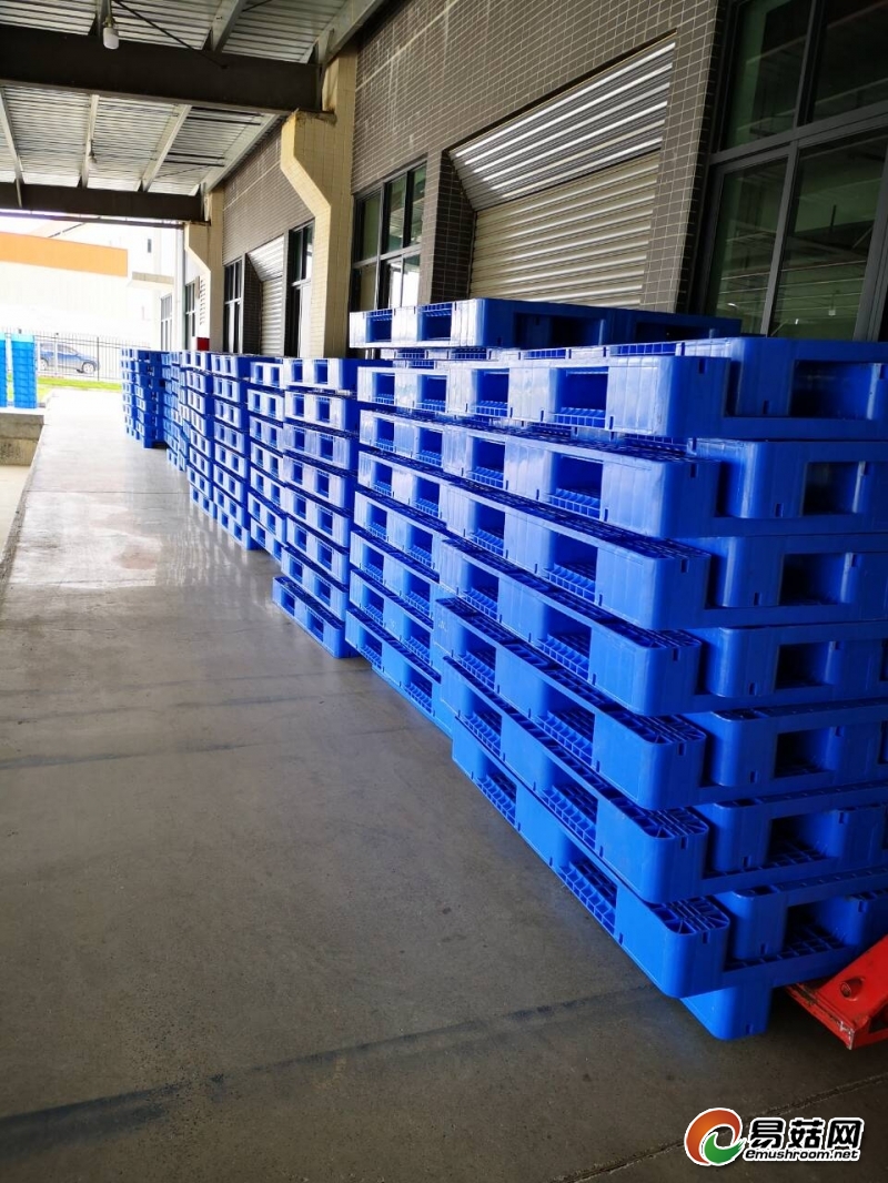 QQ图片20190617154409