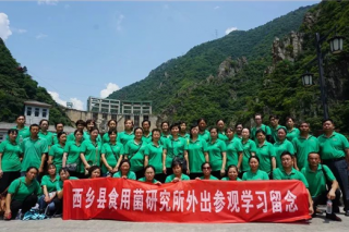 凝心聚力 春森菌业举行考察及观光活动 ()