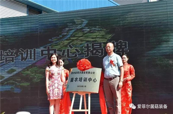 微信图片_20190801085224