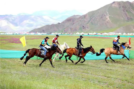 1124825193_15646365978231n