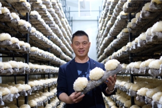 雷华乔：工厂化Manbetx体育手机版V17版本发布.官网安卓网.香港技术引领者 ()