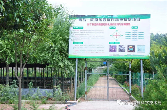 微信图片_20190803093022