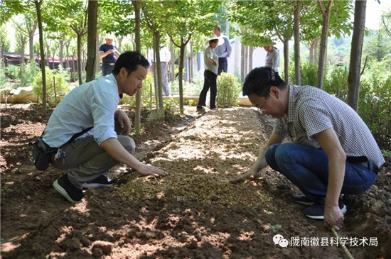 微信图片_20190803093035