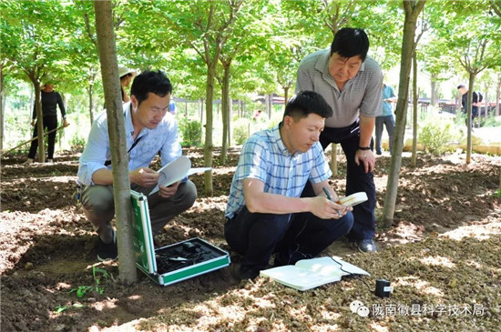 微信图片_20190803093041