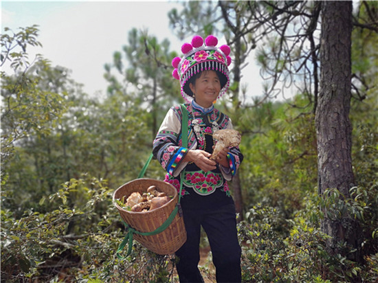 00300816851_797fad76