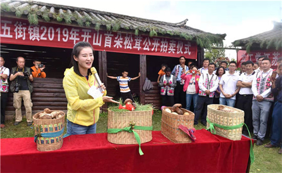 00300816857_976c00be