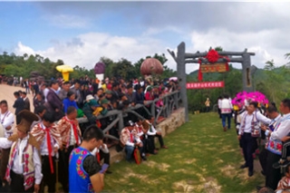 开山采菌！南华五街镇举办松茸采摘开山节 ()