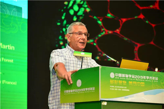 微信图片_20190805095644