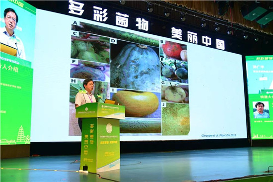 微信图片_20190805095717