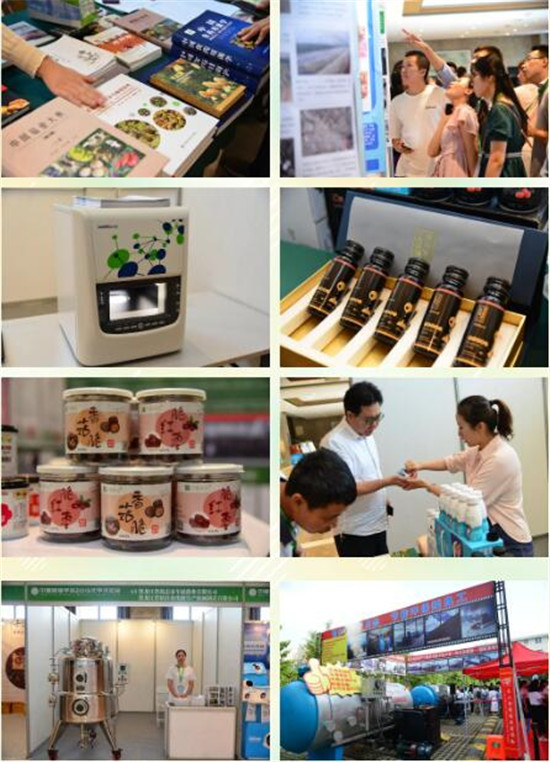 QQ截图20190805094258