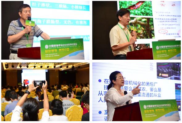 QQ截图20190808110055