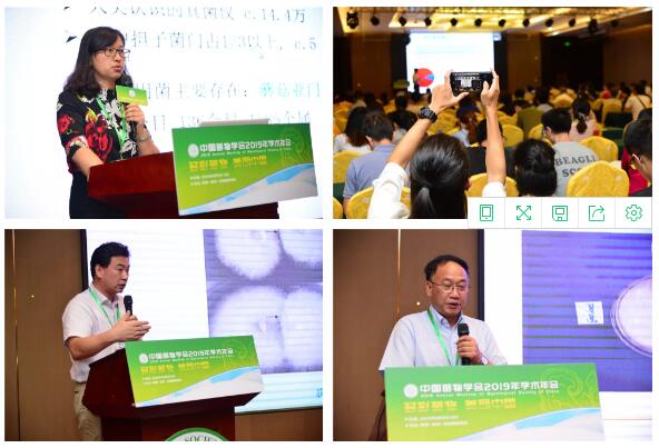 QQ截图20190808110120