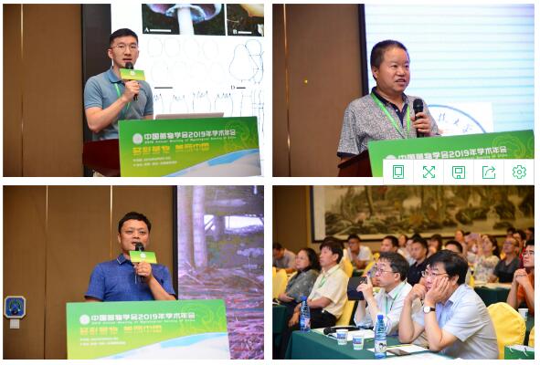 QQ截图20190808110135