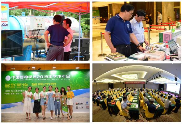 QQ截图20190808110249