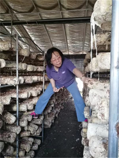 微信图片_20190809090449