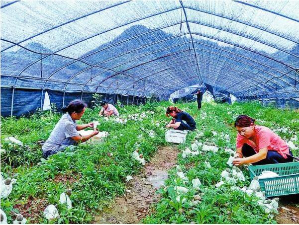 QQ截图20190809092410