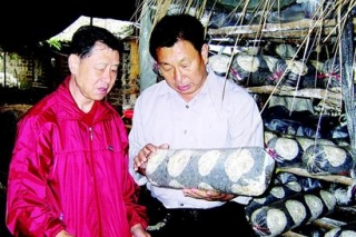 曾被中央邀至北戴河休假的秦大海，“抚育”百里香菇长廊 ()