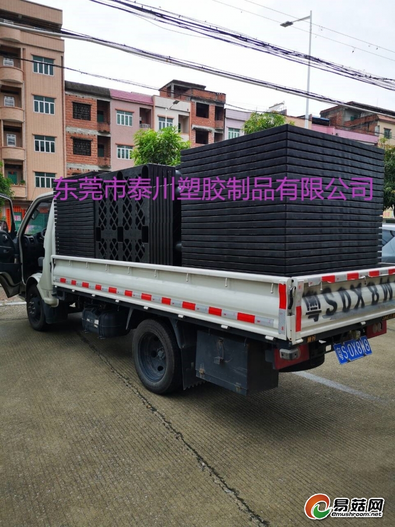 QQ图片20190811084922