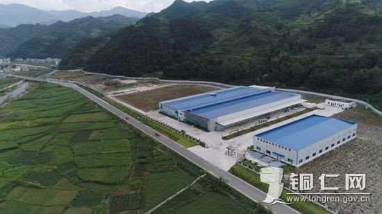 00303548542_8a2570d5