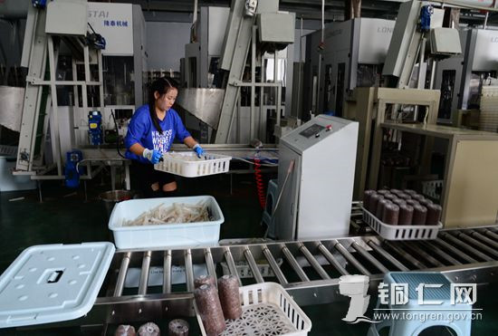 00303548544_74a55902