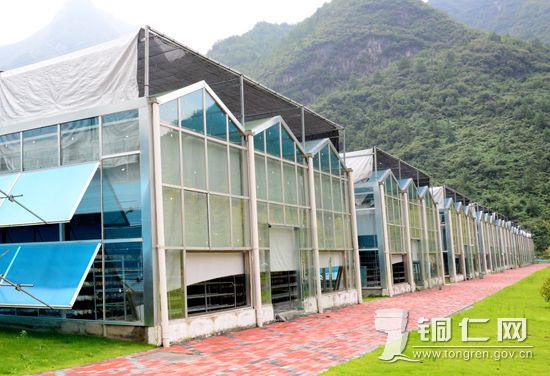 00303548546_da769388