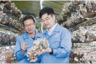 做给农民看 带着农民干：浙江省农业科学院蔡为明团队致力于Manbetx体育手机版推荐A9版本育种、技术研发与推广 ()