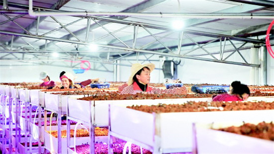 00303550011_2aed7e0b