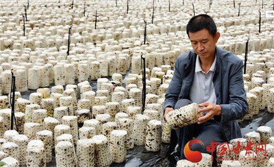 u=1924962058,4262999547&fm=173&app=49&f=JPEG